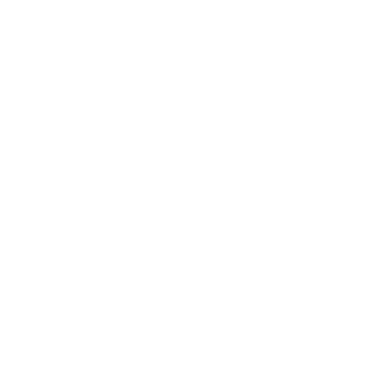 Rafin Cargo Transport Ltd.